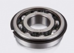 Deep groove Ball Bearing with N,NR