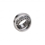 Self Aligning Ball Bearing 1206